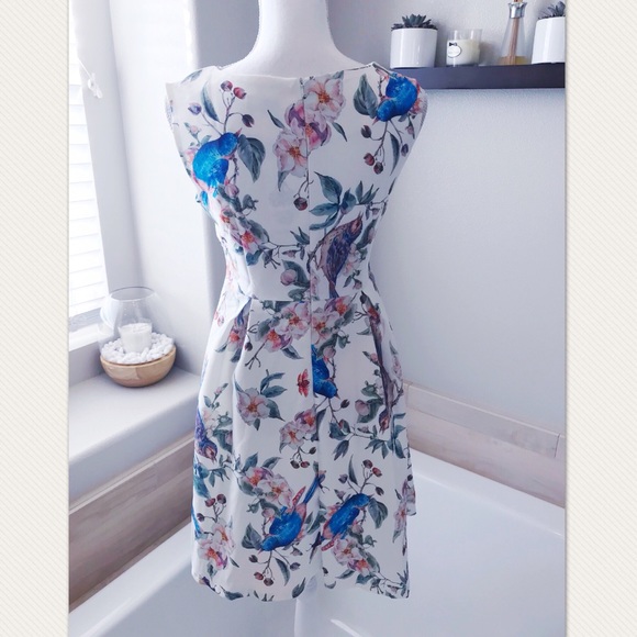 Blue bird white garden party dress - Picture 2 of 6